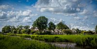 Beers Friesland