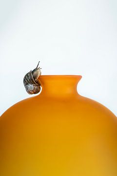 escargot sur vase orange sur Mariska Vereijken