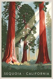 Sequoia - Californie sur Poster Art Shop
