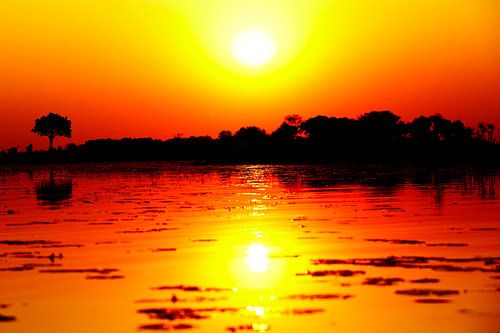 Afrikaanse Zonsondergang Okavangodelta 