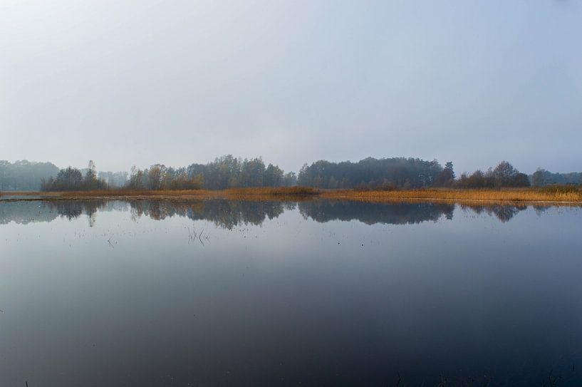 Symmetry by reflection by Leon Exterkate