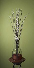 Kitten delight olive green