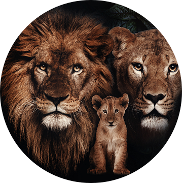 leeuwen gezin met 1 welp van Bert Hooijer