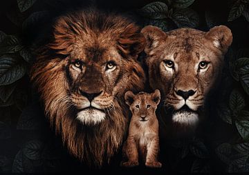 famille de lions avec un petit sur Bert Hooijer