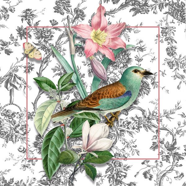 a Vintage Collection by Marja van den Hurk