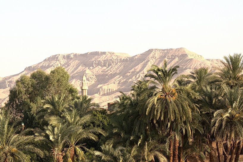 palm trees and mosques by Mirjam van Hoek