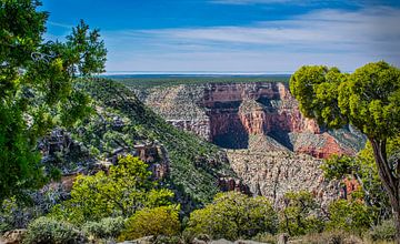  Où commence le Grand Canyon, Arizona, USA sur Rietje Bulthuis