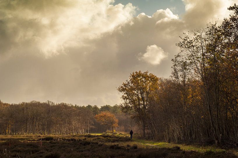 Wandelaar met hond op Texel by Margreet Frowijn