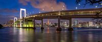 Tokyo Rainbow bridge and Tokyo Tower at sunset