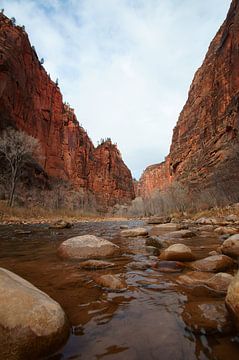 The narrows in Zion National Park van Discover Dutch Nature
