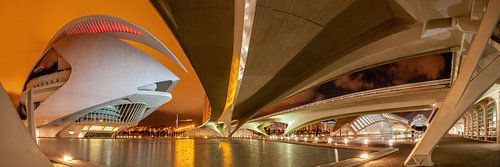 Valencia city of arts and sciences