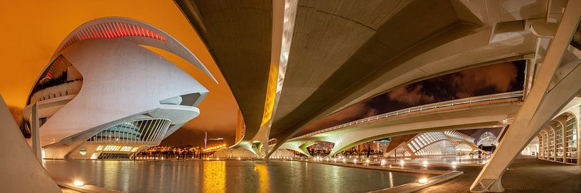 Valencia city of arts and sciences by Ko Hoogesteger