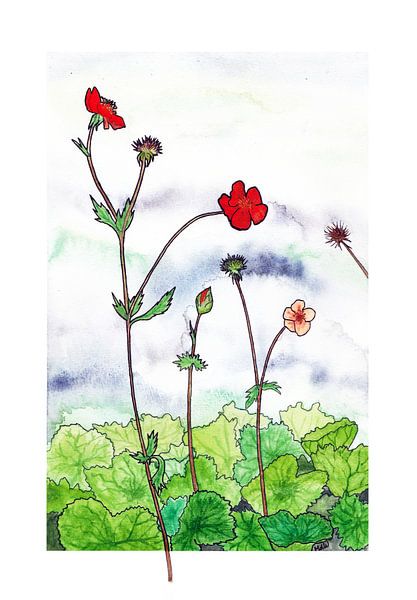 Geum (Nagelkraut) Aquarell im Retro-Stil von Marjolijn de Winter