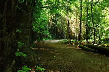 Road through forest near Eyneburg, Kelmis by Armand L'Ortije