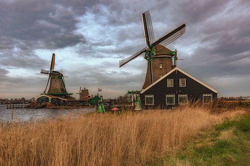 Zaanse Schans Molens