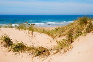 zandkust met zeewier en uitzicht op zee
