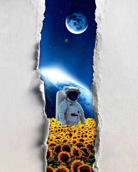 Un petit coup d'œil par Gapran Art