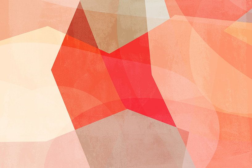 Orange and pink abstract shapes by Dina Dankers