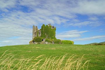 Ballycarbery Castle in Ireland by Babetts Bildergalerie