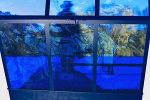 Blue Garden