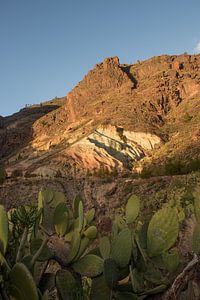 Gran Canaria von Severin Pomsel