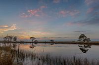 Landschap