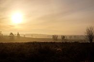 A foggy morning by Johan Vanbockryck thumbnail