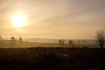 A foggy morning by Johan Vanbockryck