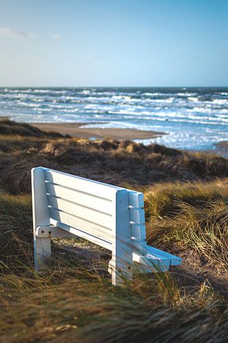 De beste Parkbank ter wereld