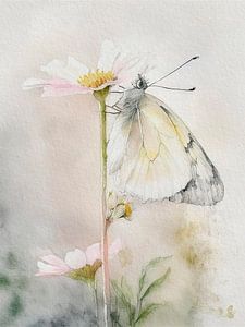 Schmetterling auf weißem Gänseblümchen, Serie: Flora und Fauna in Pastell