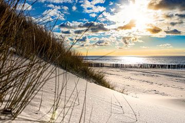 Coucher de soleil sur les dunes de Domburg sur Monique Bonnema