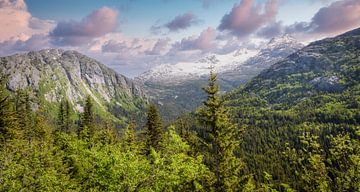 Paysage robuste Canada