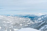 Grünten, Kleinwalsertal en Ritzler in de winter met uitzicht op de Allgäuer Alpen, Nebelhorn van Leo Schindzielorz thumbnail