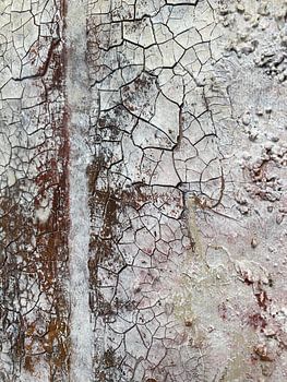 Rustic Cracked Paint