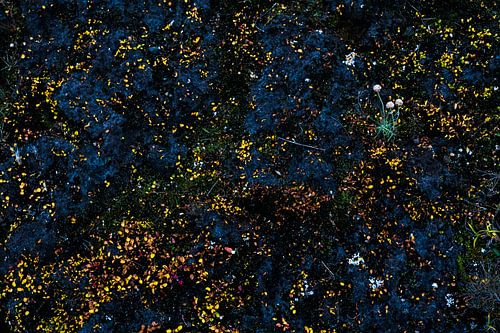 Planten in de ruimte