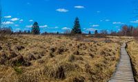 Vennlandschaft mit einem Holzsteg