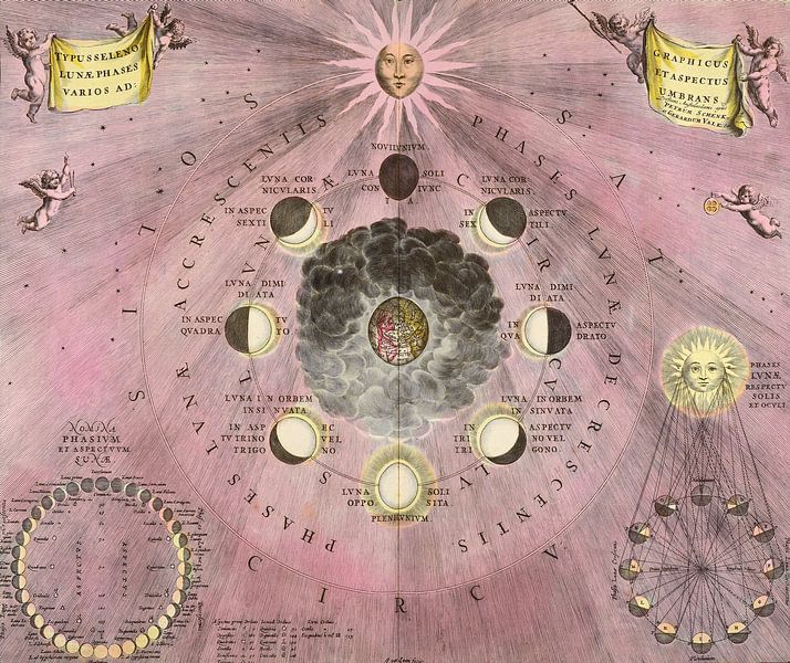 Trento - Biblioteca comunale di Trento - Typus selenographicus Lunae phases et aspectus varios adumb von Atelier Liesjes