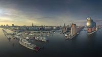 Panorama des Hamburger Hafens mit Elbphilharmonie
