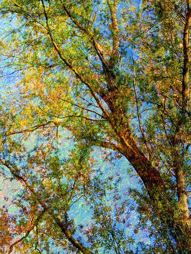 Fris groen in helder blauw