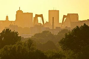 Rotterdam in der späten Abendsonne