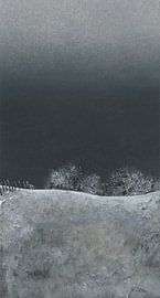 Schlehenbusch im Winter