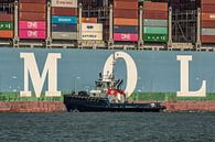 Tugboat Rotterdam sailing alongside a container ship by scheepskijkerhavenfotografie thumbnail