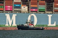 Sleepboot Rotterdam varend naast een containerschip