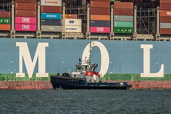 Sleepboot Rotterdam varend naast een containerschip