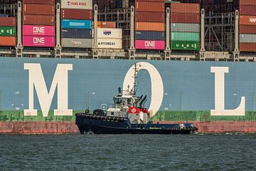 Sleepboot Rotterdam varend naast een containerschip van scheepskijkerhavenfotografie