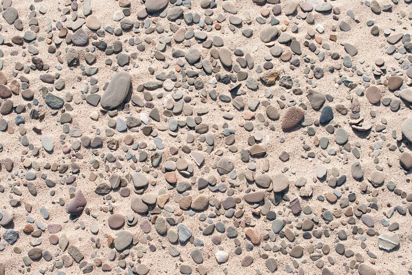 Kieselsteine im Sand von Robben