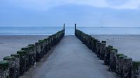 Paalhoofden naar de diepte Vlissingen