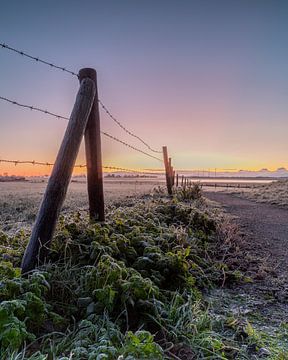 Hek en pad in Westerland tijdens een koude decemberochtend van Bram Lubbers