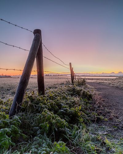 Hek en pad in Westerland tijdens een koude decemberochtend