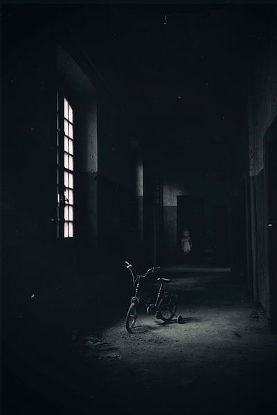 Bicycle 5 van Kirsten Scholten